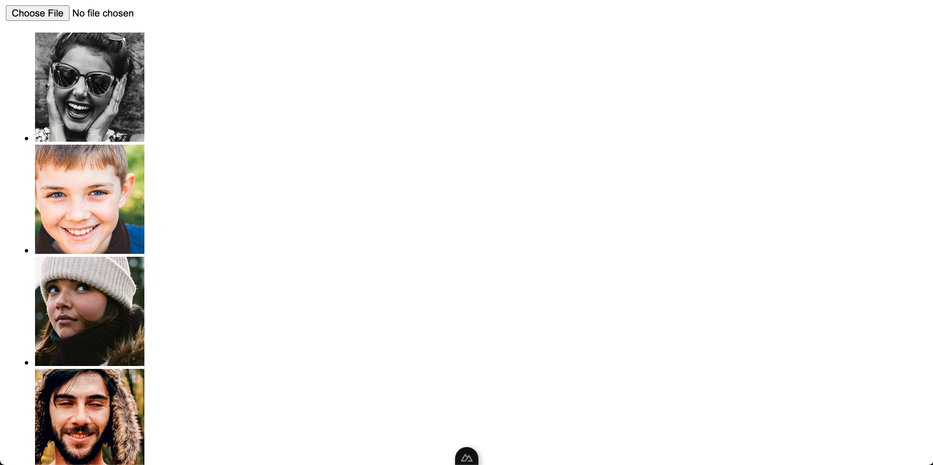 videos displayed to the page